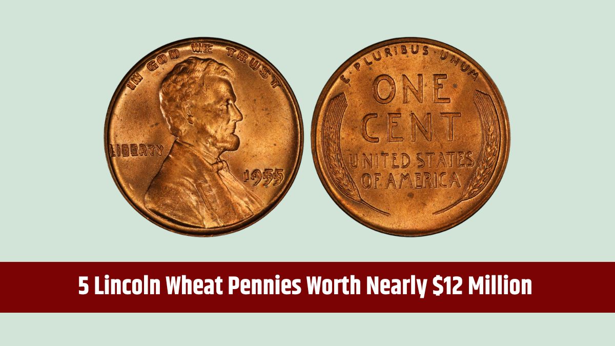 1955 Double Die Obverse Wheat Penny